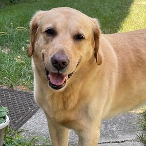 Meet your Posher, Morgan